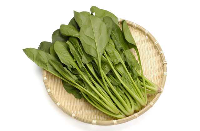 哪個牌子的木耳好