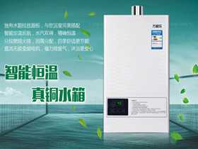 2021廚衛(wèi)電器十大項目有哪些