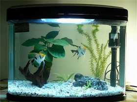 十大暢銷水族箱品牌排行榜前十名