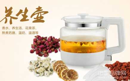 哪個(gè)牌子養(yǎng)生壺好