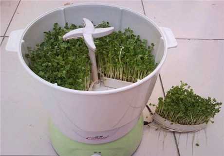 哪個牌子的豆芽機更實用