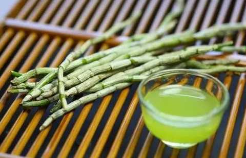 哪些品牌的鐵皮石斛熱賣認可度高