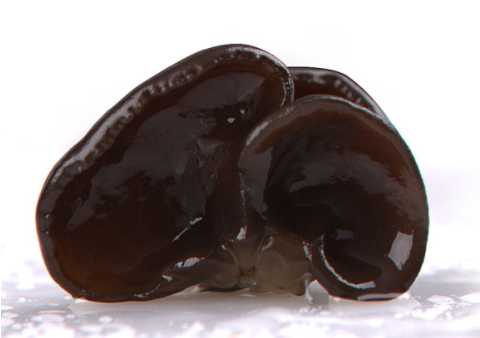 黑木耳十大品牌舉薦