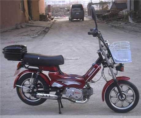 十大助力車品牌排行榜前十名