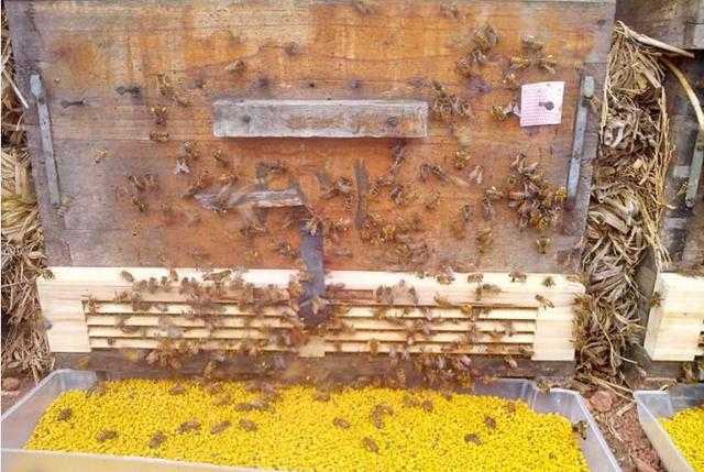 花粉哪個牌子好