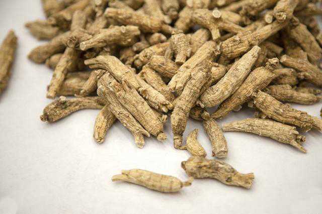 西洋參哪個(gè)牌子好