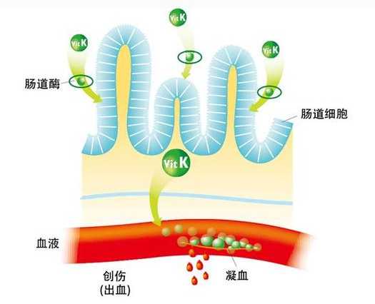 母乳喂養(yǎng)十大好處排行榜前10名