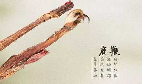 能強身健體的十種食物