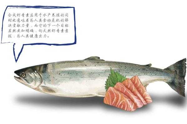 蝦青素哪個牌子好
