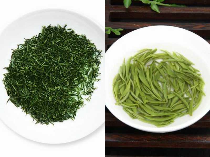 信陽毛尖哪個牌子好
