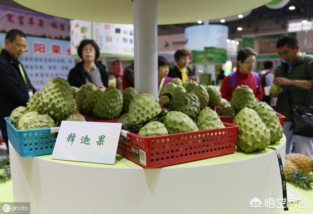 釋迦果怎么催熟