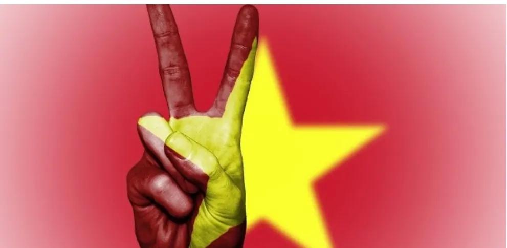 為什么shopee和阿里巴巴在越南發生沖突？