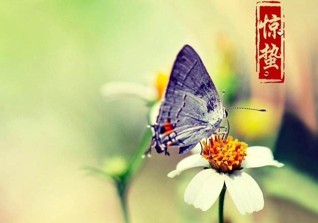 驚蟄是什么意思