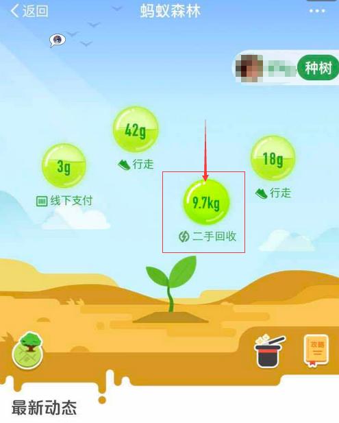 螞蟻森林怎樣讓能量多？