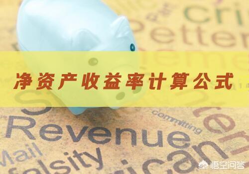 凈資產(chǎn)收益率計算公式