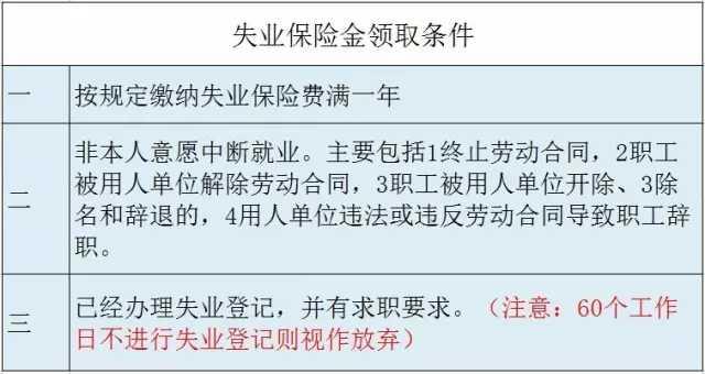 失業(yè)保險有什么用