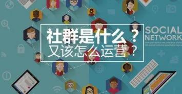 社群運營的經典案例