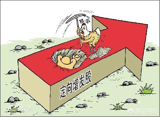 增發(fā)是什么意思