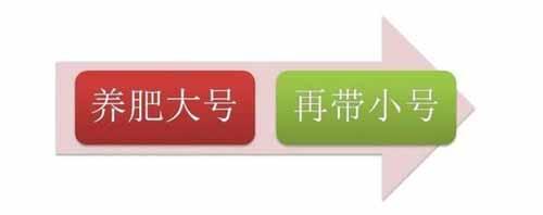微信怎么養號效果最好？