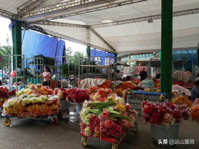 昆明斗南花卉市場鮮花批發價格