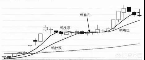 股票老鴨頭形態圖解