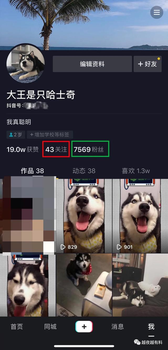 陌生人隨機視頻聊天
