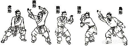 五禽戲是哪五種動物