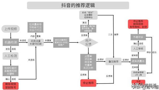 抖音推送規(guī)律