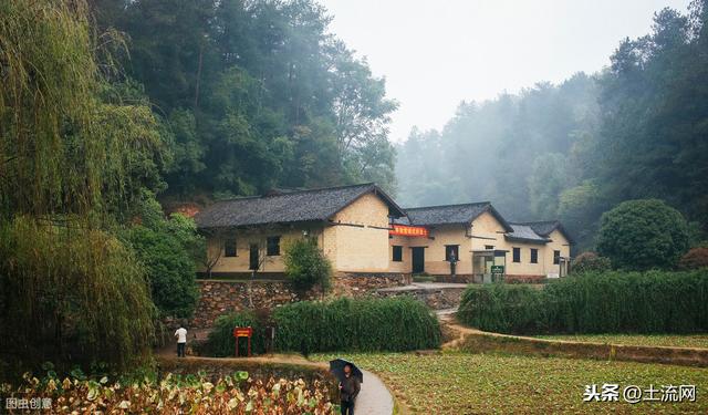 富在深山有遠親