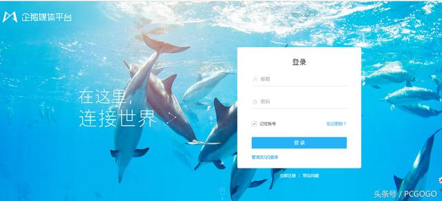 企鵝號(hào)怎么賺錢？