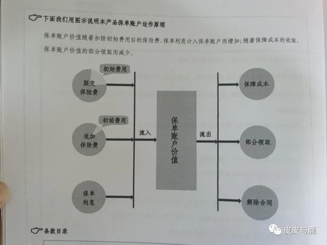 智盈人生交滿10年退保