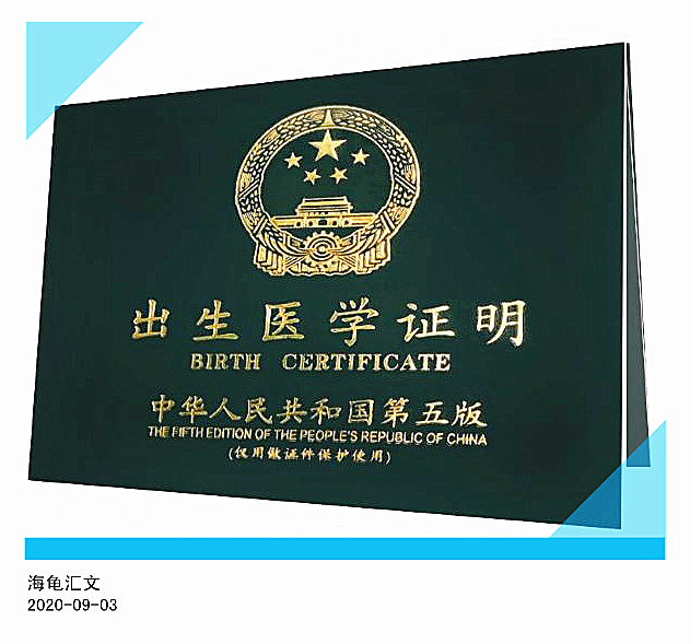 新生兒落地險怎么辦理