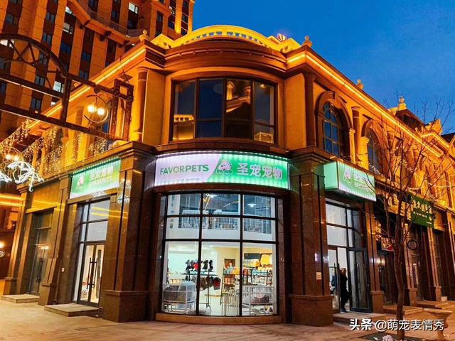 寵物店一年利潤怎么樣