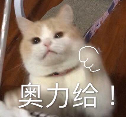 雙擔是什么意思