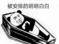 安排是什么意思