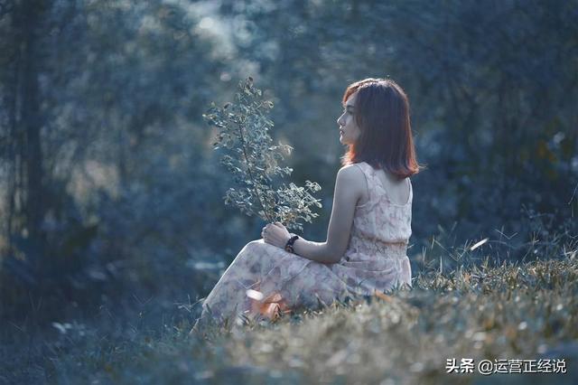邵陽網(wǎng)站優(yōu)化