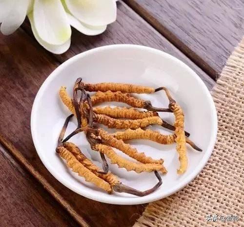 蟲(chóng)草的最佳吃法