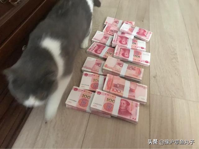 微信怎么賺錢(qián)