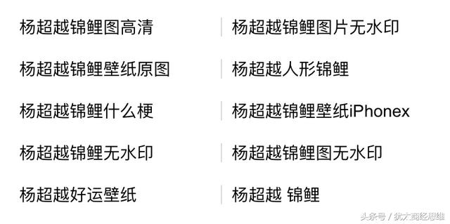 錦鯉是什么意思