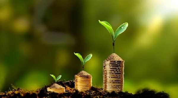 求：白條怎么刷出來急急急