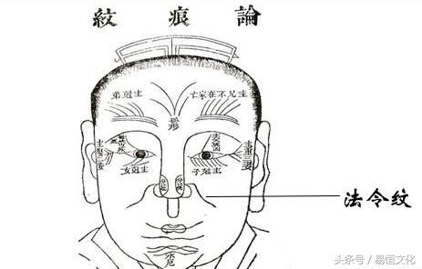 男人法令紋深代表什么