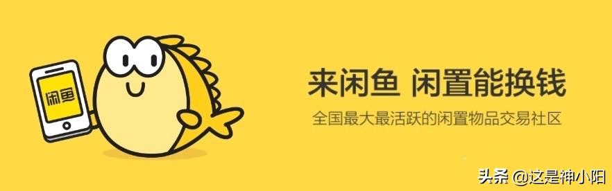 閑魚月入10萬