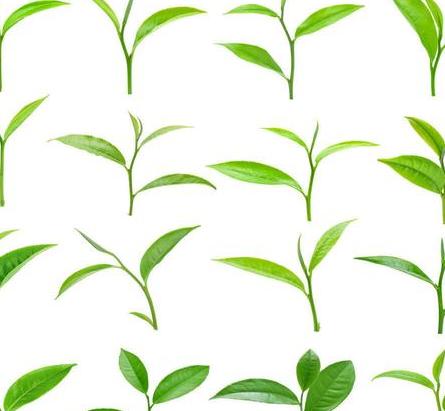 二十四節氣順口溜