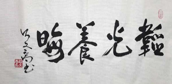 韜光養晦什么意思