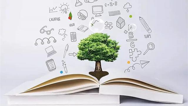 白皮書是什么意思