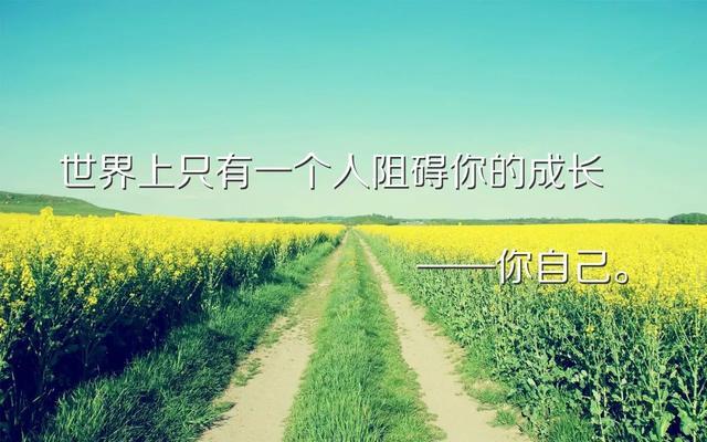 怎么樣網(wǎng)絡(luò)推廣