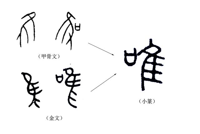唯唯諾諾的意思