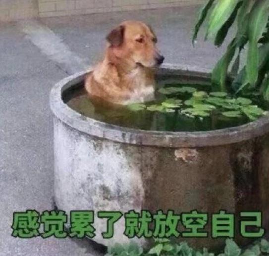 代溝什么意思