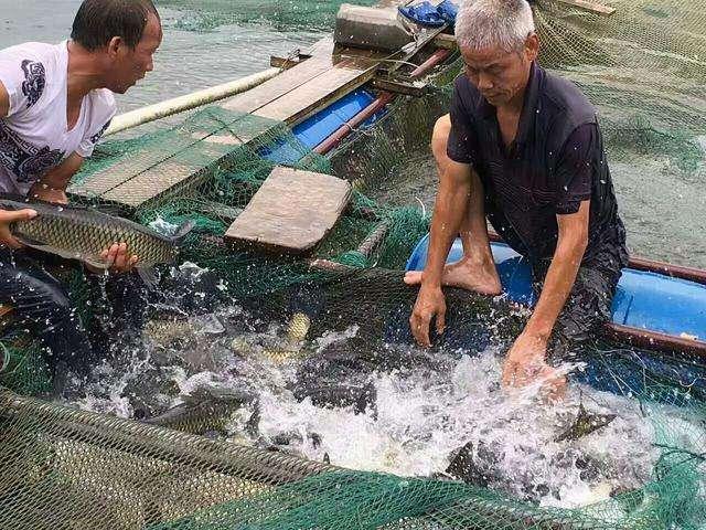 農民創業致富好項目