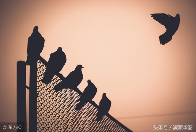 大相徑庭的近義詞